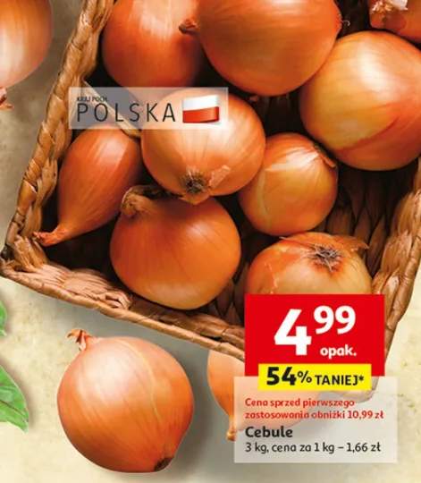 cebula