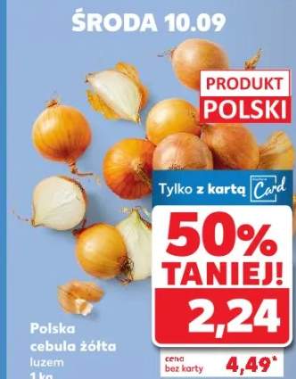 cebula żółta