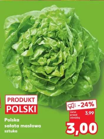 sałata masłowa