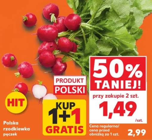rzodkiewka