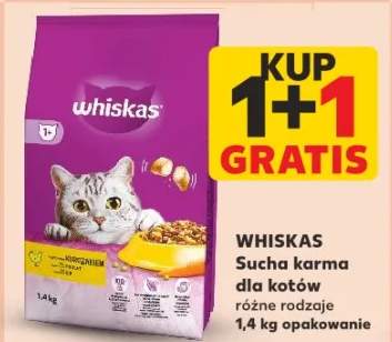 karma sucha dla kota
