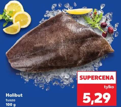 halibut tusza