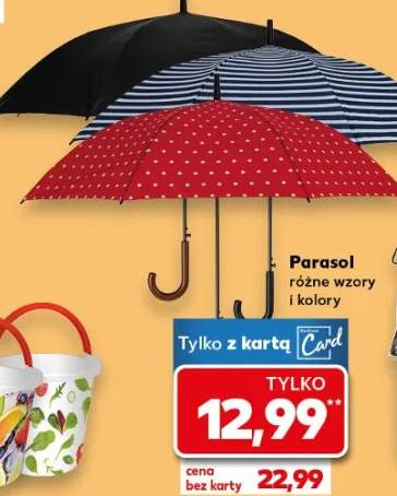 parasol