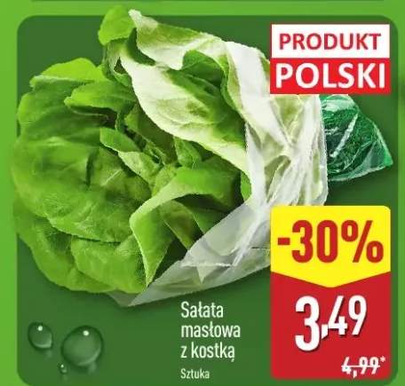 sałata masłowa