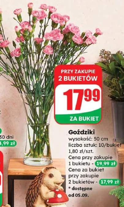 goździki