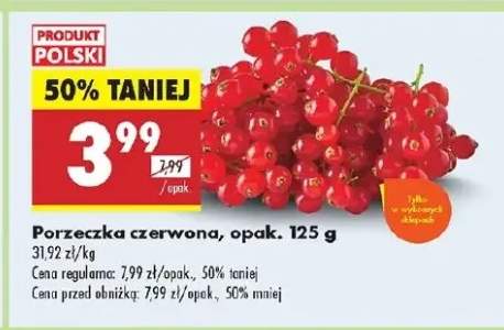 porzeczka czerwona