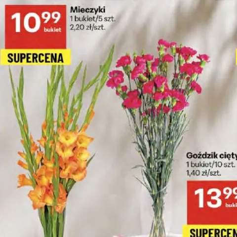 goździki