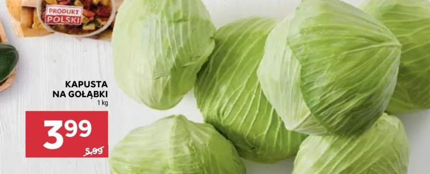 kapusta