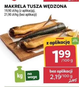 makrela tusza