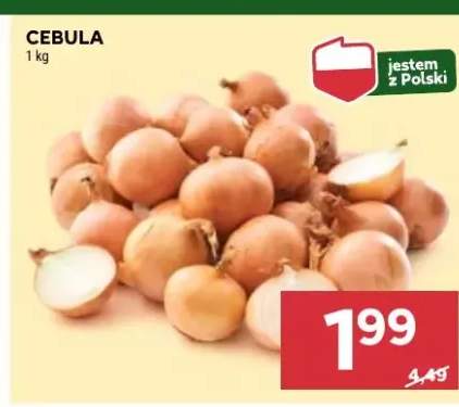cebula