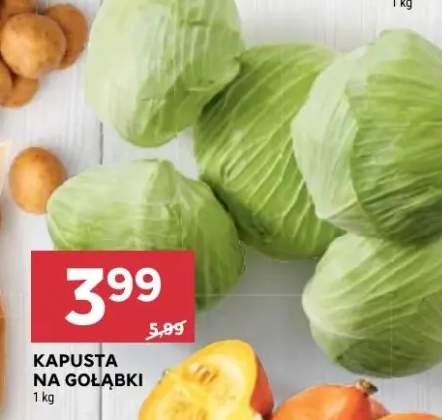 kapusta