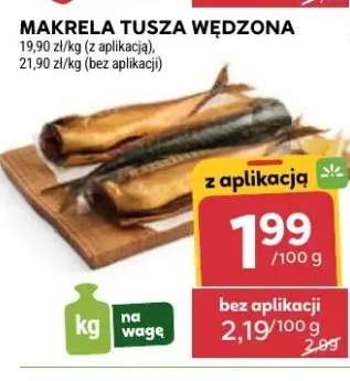 makrela tusza