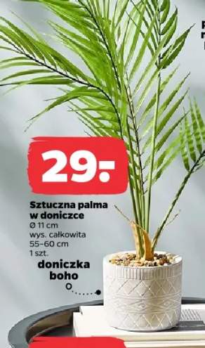 doniczka
