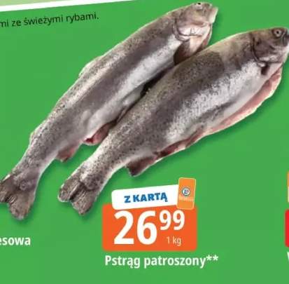 pstrąg patroszony
