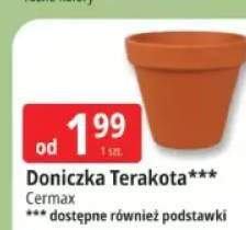 doniczka