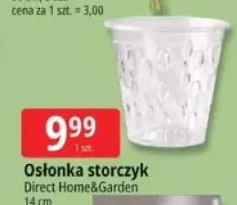 storczyk