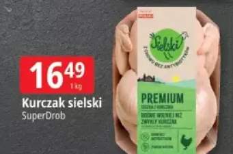 kurczak