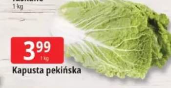 kapusta pekińska