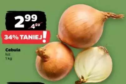 cebula