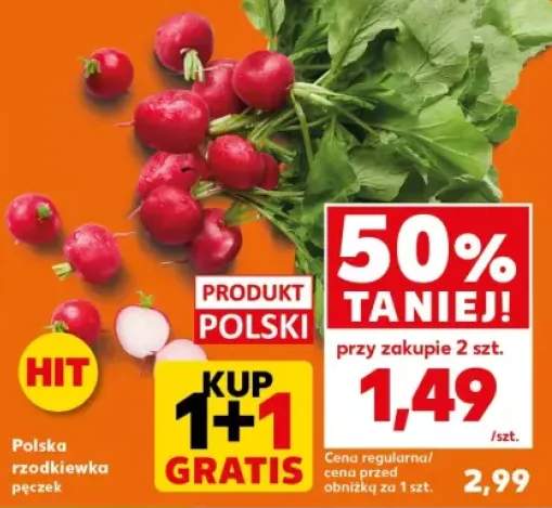 rzodkiewka