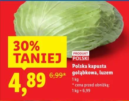 kapusta