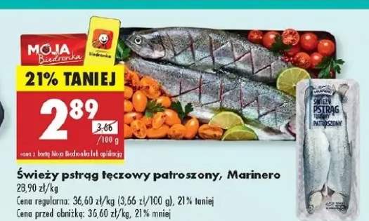 pstrąg tęczowy