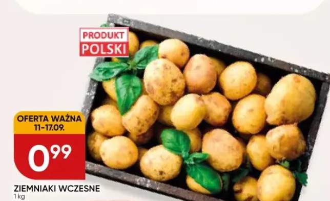ziemniaki wczesne