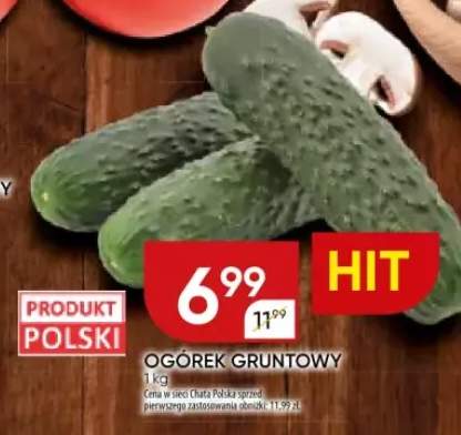 ogórek gruntowy