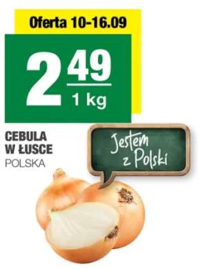 cebula