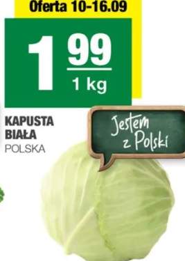 kapusta biała