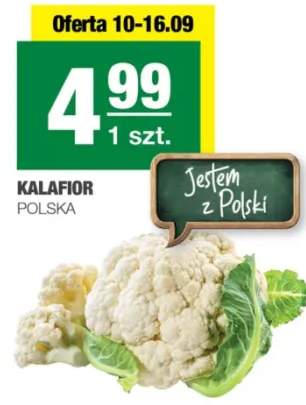 kalafior