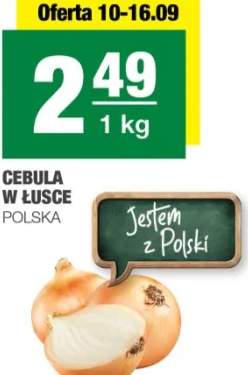 cebula