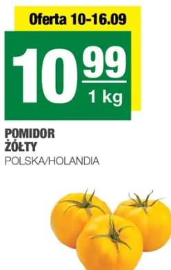 pomidory żółte