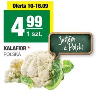kalafior