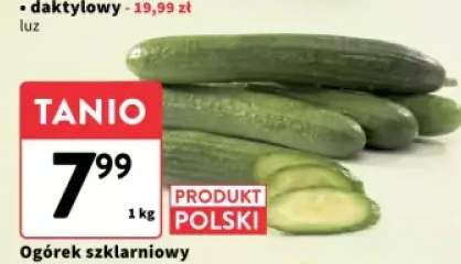 ogórek szklarniowy
