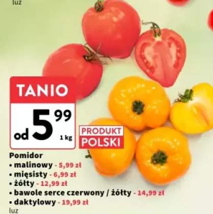 pomidory żółte
