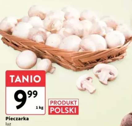 pieczarki
