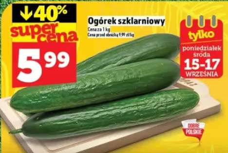 ogórek szklarniowy