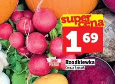 rzodkiewka