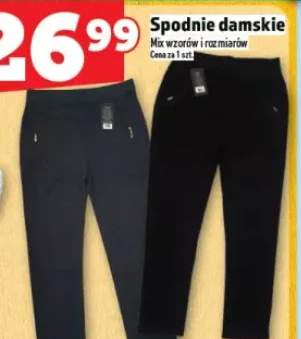 spodnie damskie