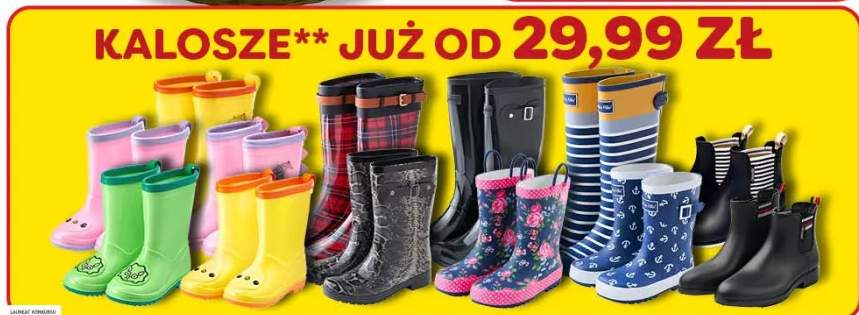 kalosze