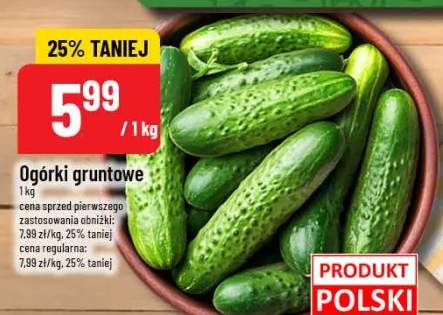 ogórek gruntowy