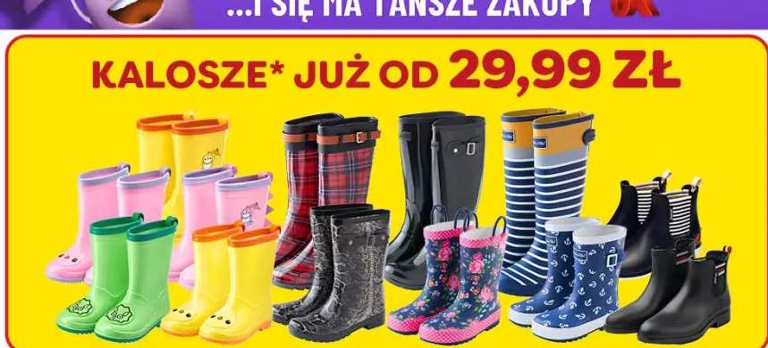 kalosze
