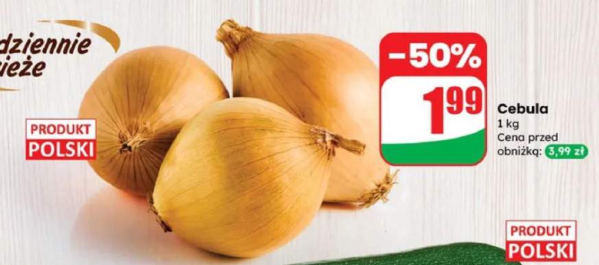 cebula