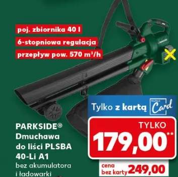 dmuchawa do liści