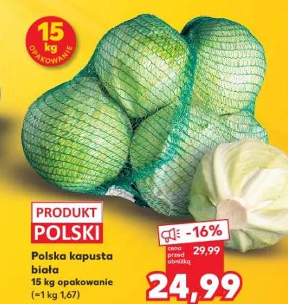 kapusta biała