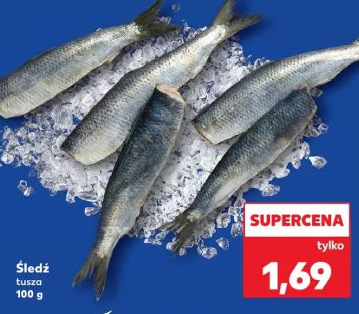śledź tusza
