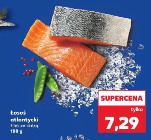 łosoś filet