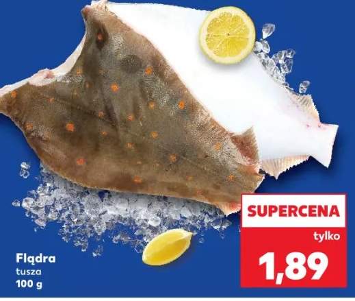 flądra tusza