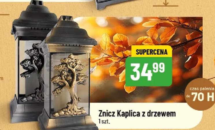 znicz